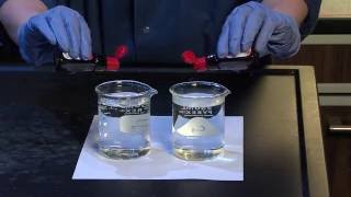 Diffusion and Osmosis  For Teachers [upl. by Lana]