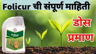 फॉलीक्युअर बुरशीनाशक  folicur fungicide details [upl. by Nessej]