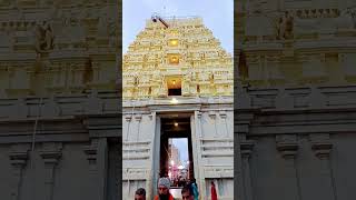 Rameshwaram Mandir Mein Mani Darshan  livestream  mandirdarshan  shekhawatvlogs [upl. by Undine405]