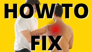 Top 3 Exercises for a Winging Scapula Winging Shoulder Blade [upl. by Aicilf]