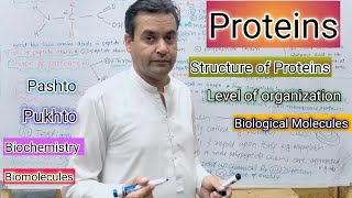 Proteins  Amino acid  Biology  Class 11  Dr Mushtaq Pashto Lectures [upl. by Icats]