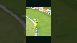 IPL cricket short video 2022 ipl music [upl. by Asiela]