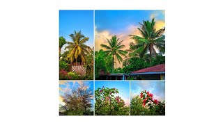 DSLR Power Camera  SUN Color Grading Preset Capture Test  LMC 84 Release 18 [upl. by Gerardo59]