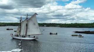 The schooner Bowdoins departure from Boothbay Harbor Maine on May 29 2024 [upl. by Norty210]