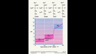 Amino acid Titration Curve Ionizable group Part 2 [upl. by Bloem275]