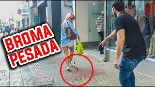 Las Mejores BROMAS PESADAS De La SERPIENTE l Humor l Videos De Risa [upl. by Ylrebmyk]