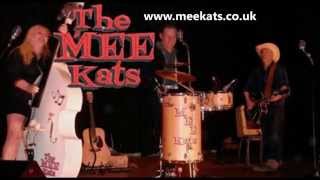 The Mee Kats [upl. by Durware]