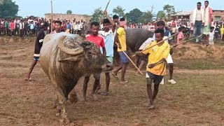 dhunyamara vs jampur at bakshisha dangapara hiranpur pakur [upl. by Euh711]