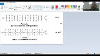 CURSO PREFINAL BIOLOGÍA 2024  PEQUEÑAS Y MACROMOLÉCULAS [upl. by Huber]