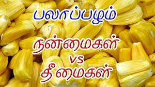 பலாப்பழம் பயன்கள்  Palapalam  Jack Fruit Benefits in Tamil பலாப்பழம் மருத்துவ குணங்கள் [upl. by Eerat417]