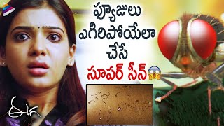 Eega Telugu Movie Best Scene  Nani  Samantha  Kiccha Sudeep  SS Rajamouli  Telugu FilmNagar [upl. by Saval457]