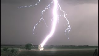 Lightning Striking Tree in 4K  Tree Catches on Fire [upl. by Crispa]