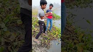 Dil Tham Lo⚡BIG FISH Fallow FOR MORE 💥 fishlover gonefishing fish🙏🙏🙏 [upl. by Rogergcam447]