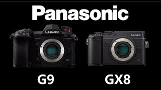 Panasonic LUMIX G9 vs Panasonic LUMIX GX8 [upl. by Weitman503]