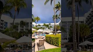 aruba palmbeach resort hotel youtubeshorts travel youtubevideo 🇦🇼🌺 [upl. by Raddatz574]