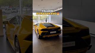 YELLOW HURACAN OR BLACK URUS LETS FUSE BOTH🔥 lamborghini lamborghiniurus urus huracan shorts [upl. by Phalan]