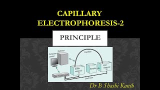 Capillary Electrophoresis2Principle [upl. by Ester]