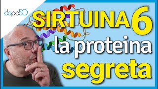 Sirtuina 6 la proteina segreta per la longevità [upl. by Oraneg374]