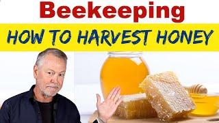 Beekeeping  How To Harvest Honey [upl. by Anahcar]