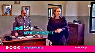 ΑΓΡΙΕΣ ΜΕΛΙΣΣΕΣ  ΕΠΕΙΣΟΔΙΟ 64 ΤΕΤΑΡΤΗ 2912020  TRAILER FULL HD [upl. by Lleoj]