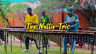 The Nattie Trio … Zvichapera 365days of Marimba day 273 [upl. by Elenaj]