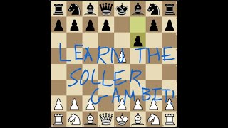 Soller Gambit Trap for Beginners [upl. by Dunson]