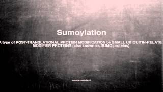 Medical vocabulary What does Sumoylation mean [upl. by Adnelg]