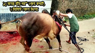 Huge Kurbani cow Done by Professional Butcher  2018 Kurbani Eid [upl. by Ahsinot]