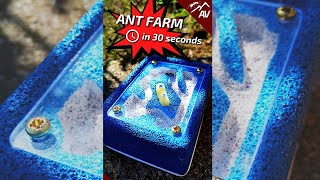 How to make an Ant Farm from Ytong  in 30 seconds Shorts [upl. by Ira]