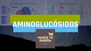 Aminoglucósidos en Veterinaria [upl. by Mcclish]