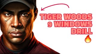 😲 Tiger Woods Insane 9 Window Shots in 3D Data 👀 [upl. by Yrtua]