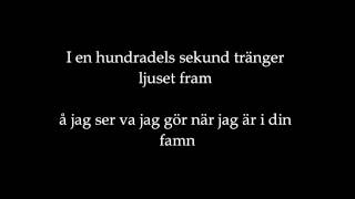 Den svenska björnstammen  mörkt kallt ljus lyrics [upl. by Ybba]