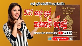 Online Passport Apply Sri Lanka 2023 SinhalaI Dream Box Production [upl. by Noyes]