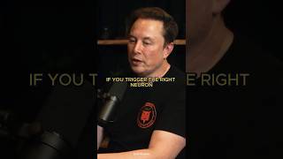 Elon Musk on How Brain Creates Reality [upl. by Yrohcaz167]