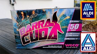 WECO BARRACUDA BATTERIE  Aldi Feuerwerk [upl. by Ivory548]