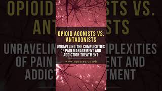 Opioid Agonists vs Antagonists [upl. by Sholeen]