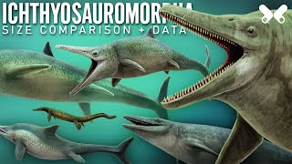 ICHTHYOSAURS and relatives  Size comparison and data [upl. by Pardew]