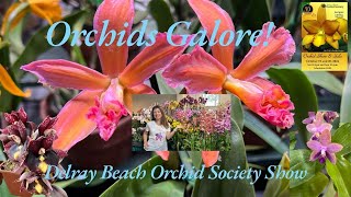 Join us for a stroll through a breathtaking display of orchids at the Delray Beach Orchid Show [upl. by Snah]