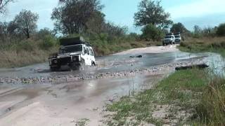 Moremi Game Reserve Botswana HD [upl. by Irrab]