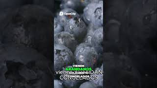 🍓 Frutas Frescas vs Congeladas ¿Cuál es la Mejor Opción ❄️🍎 [upl. by Eirotal]