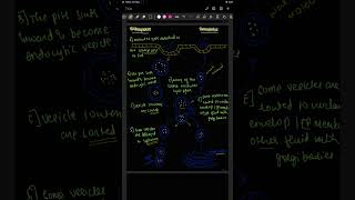 Endocytosis and exocytosis flow chartneet2025 endocytosis plasmamembranemusic song youtube [upl. by Armilda]