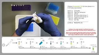 How to double digest Restriction site Associated DNA sequencing ddRADseq [upl. by Ennaear]