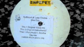 NuBreed amp Luke Chable  One Day Original Vocal Mix [upl. by Assilanna]