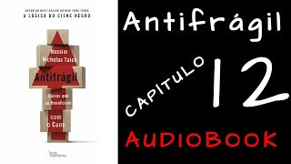 ANTIFRÁGIL  Nassim Taleb  Capitulo 12  AUDIOBOOK [upl. by Pega]