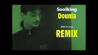 Soolking  Dounia SFN Platino Remix [upl. by Hannan611]