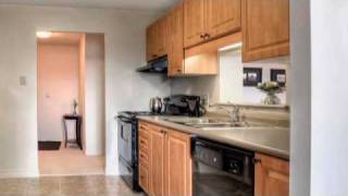 Homes for Sale London Ontario Real Estate Video Tours [upl. by Ainessej]