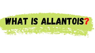 Allantois  what is allantois  allantois defination [upl. by Jermaine]