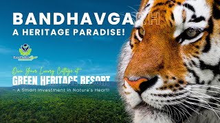 Bandhavgarh’s Historical Gems amp Investment Opportunities at Green Heritage Resort [upl. by Yatnahs507]