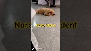 Nursing Student daily life viralvideo viralshort [upl. by Leunamne586]