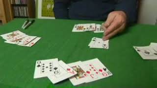 Euchre Strategy [upl. by Liza]